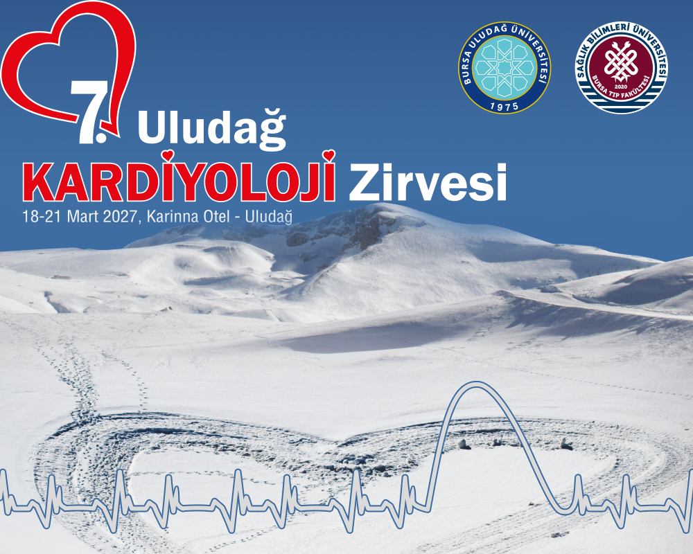 Organizasyon Banner